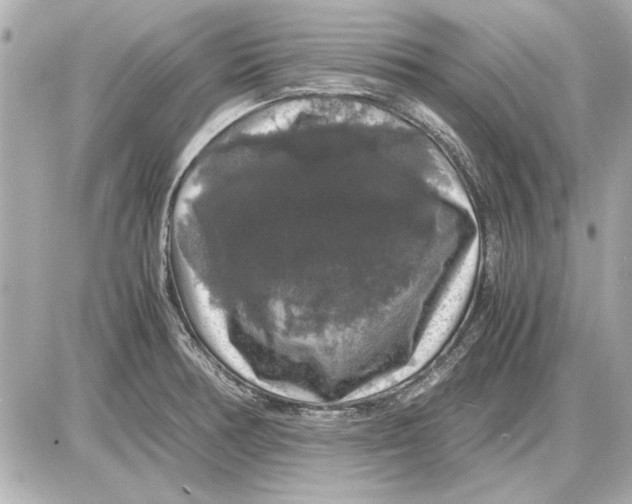 X0000085841378200704091712