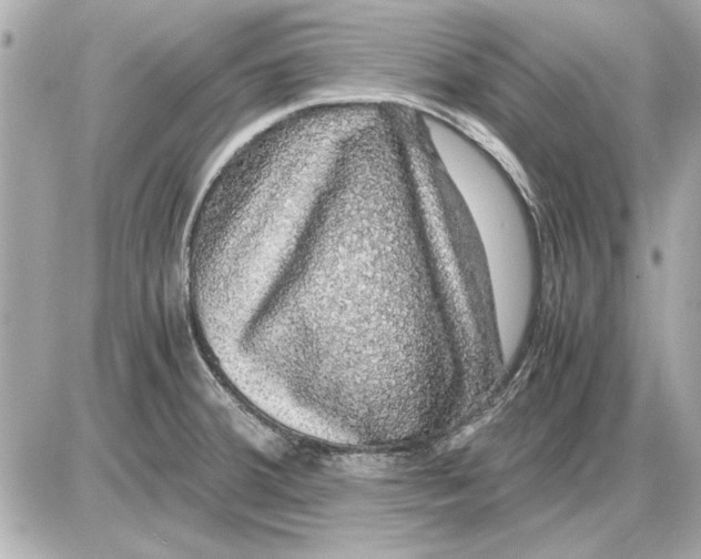 X0000085841380200704091712