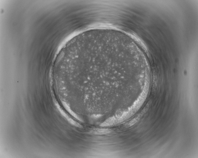 X0000085841382200704091712