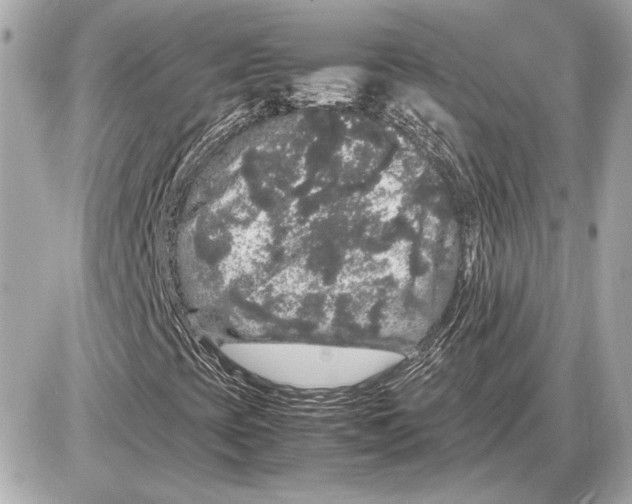 X0000085841393200704091711