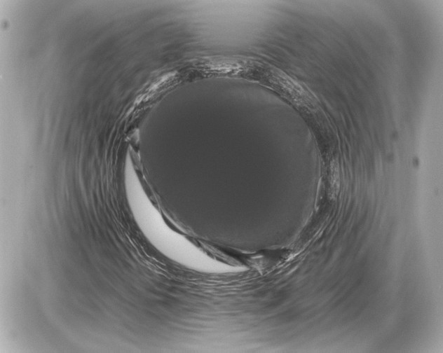 X0000085841394200704091711