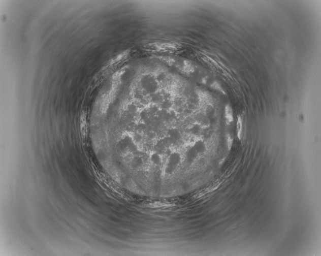 X0000085841395200704091711