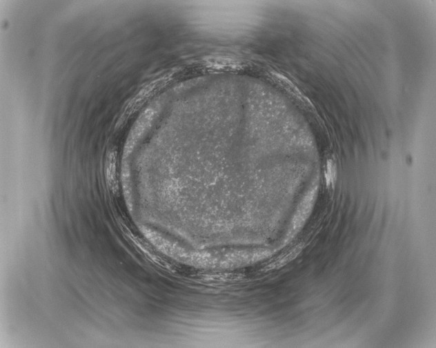 X0000085841396200704091711