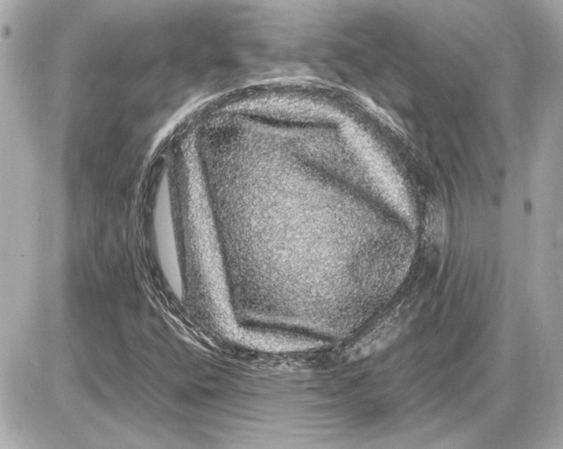 X0000085841400200704091711