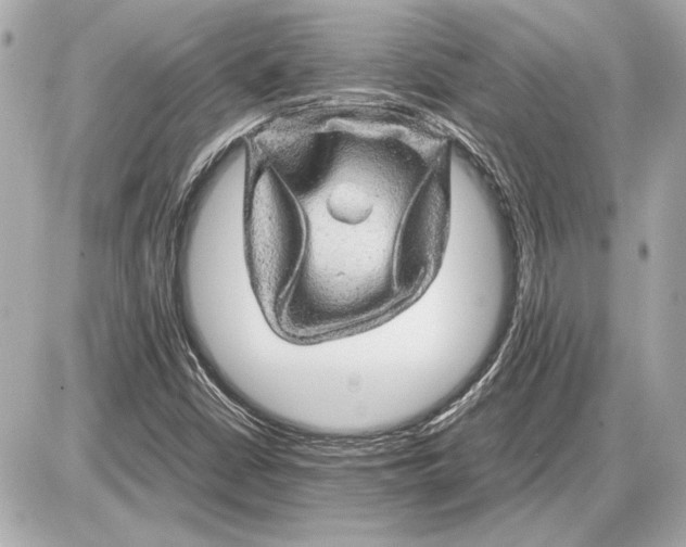 X0000085841402200704091711