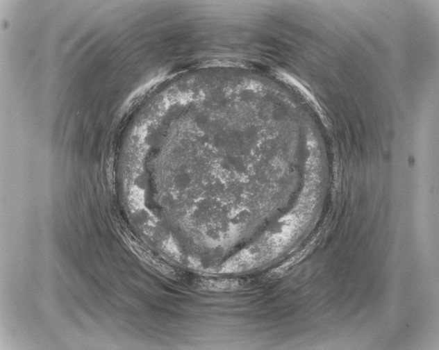 X0000085841403200704091711