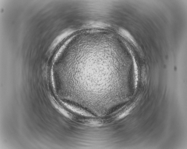 X0000085841404200704091711