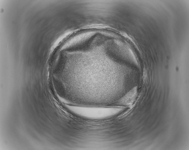 X0000085841406200704091711