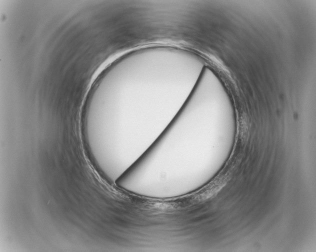 X0000085841412200704091712