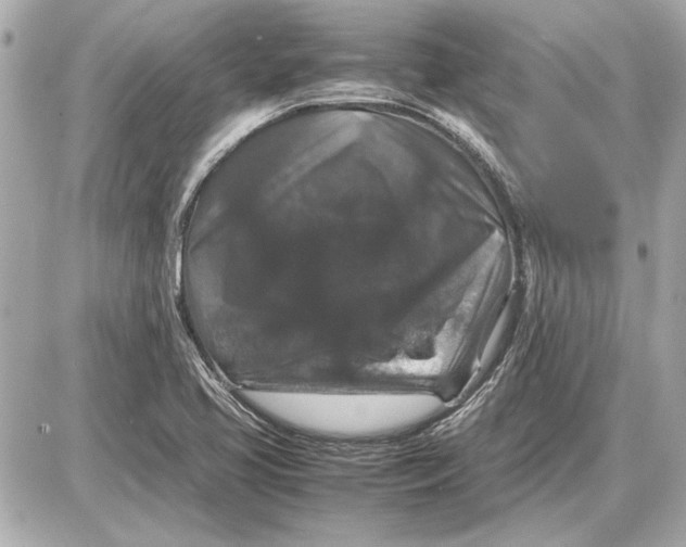 X0000085841413200704091712