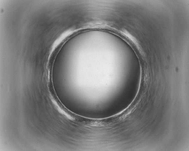 X0000085841414200704091712