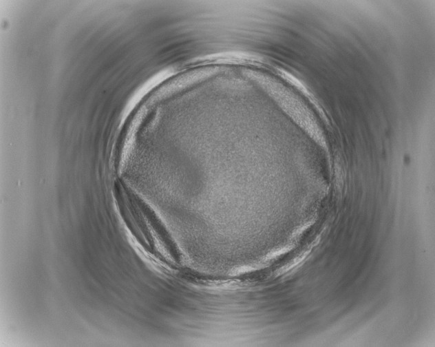X0000085841426200704091712