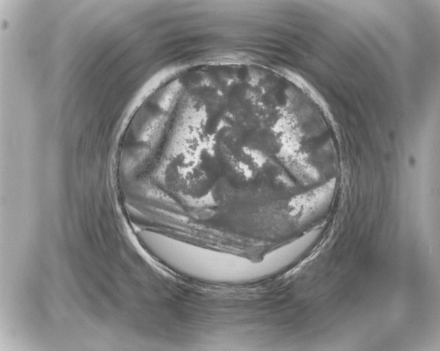 X0000085841429200704091712