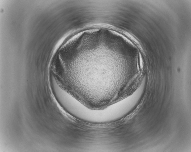 X0000085841430200704091712