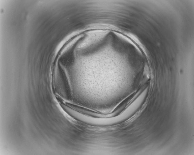 X0000085841438200704091712