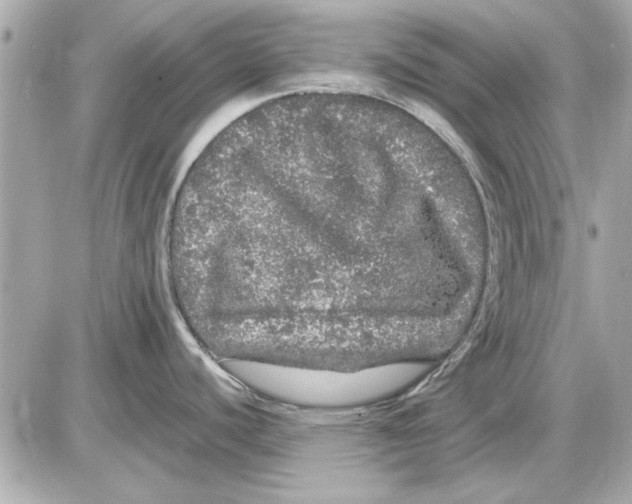 X0000085841440200704091712