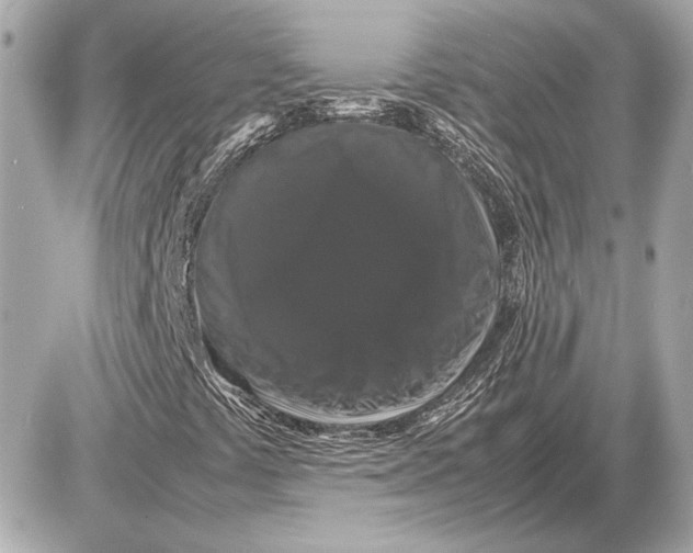 X0000085841441200704091711