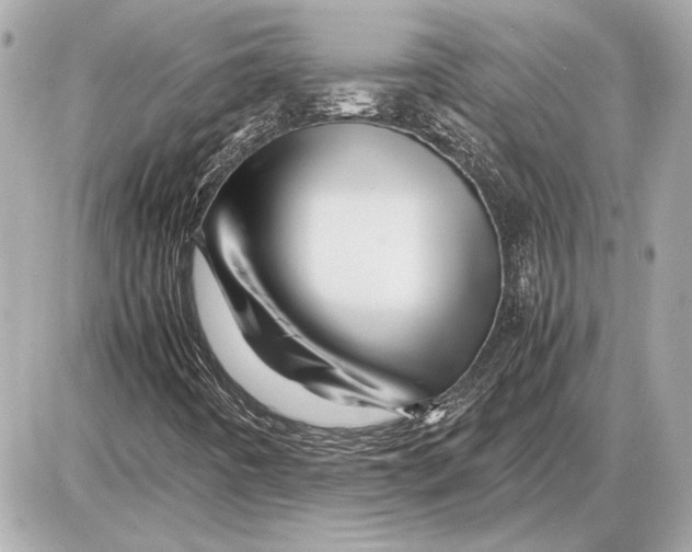 X0000085841442200704091711