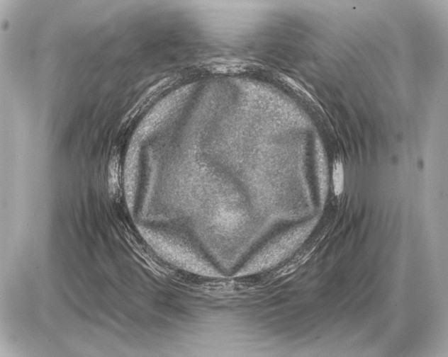 X0000085841444200704091711