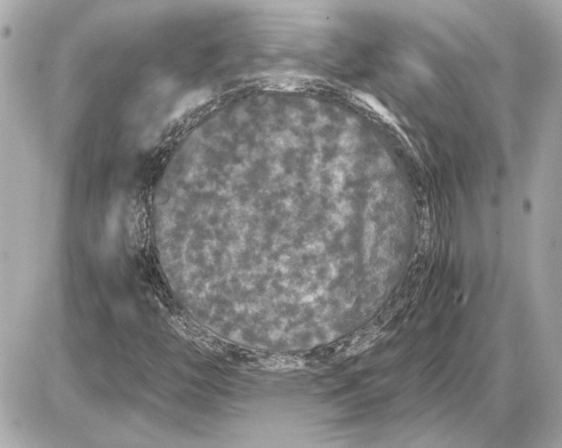 X0000085841446200704091711