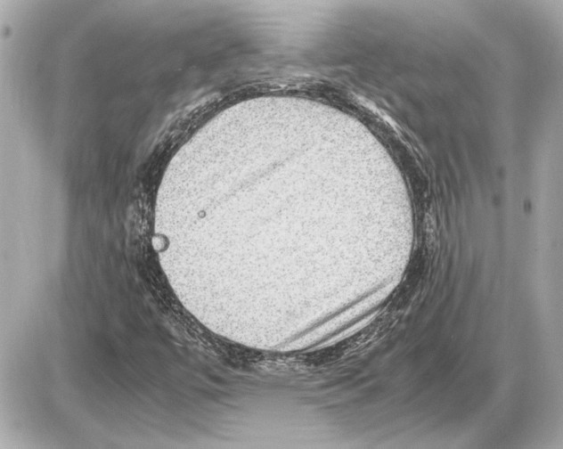 X0000085841447200704091711