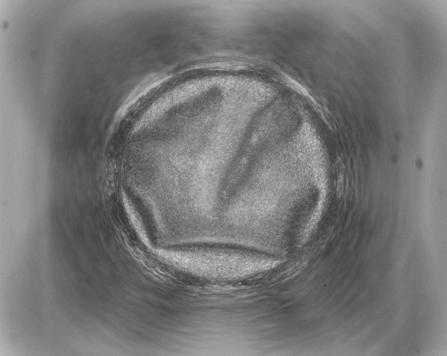 X0000085841448200704091711