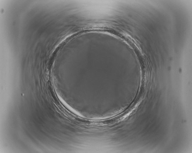 X0000085841449200704091711