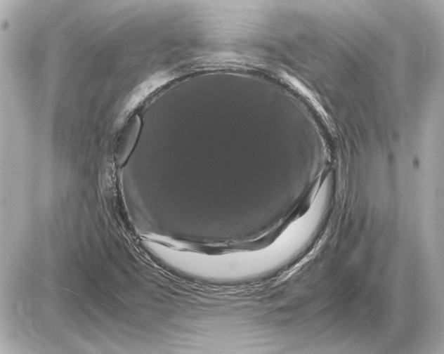X0000085841453200704091711