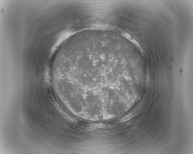 X0000085841454200704091711