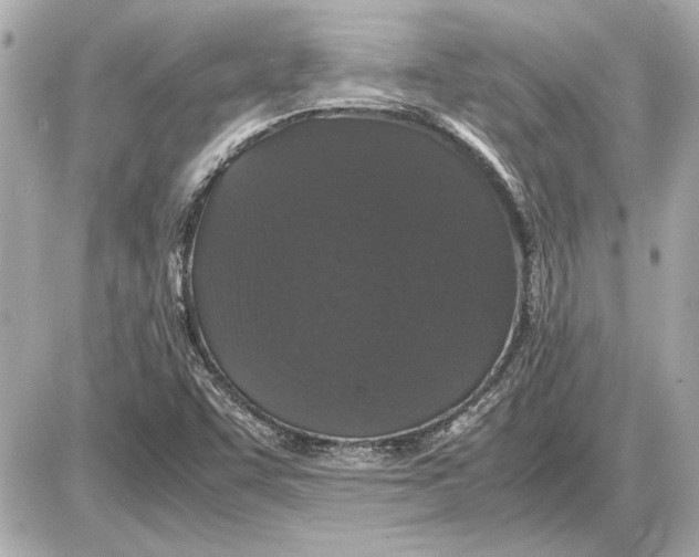 X0000085841455200704091711