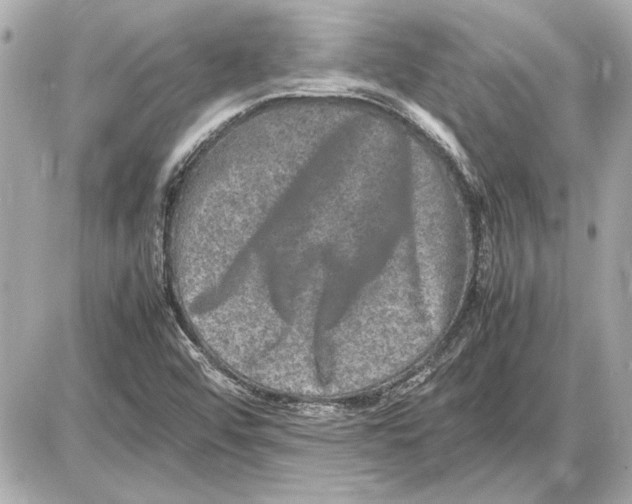 X0000085841456200704091711