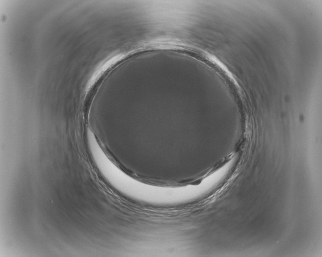 X0000085841461200704091711