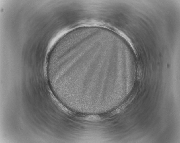 X0000085841464200704091711