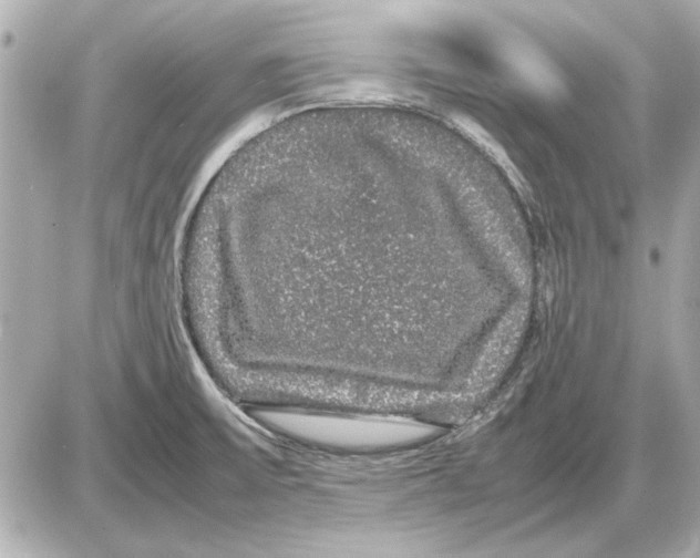 X0000085841475200704091711