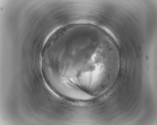 X0000085841476200704091711