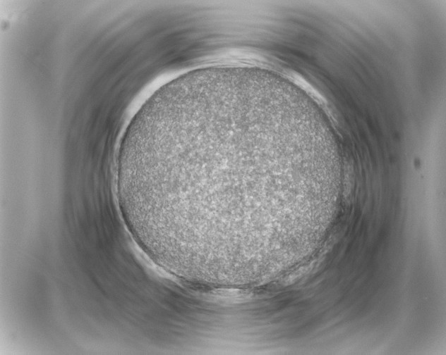 X0000085841478200704091711