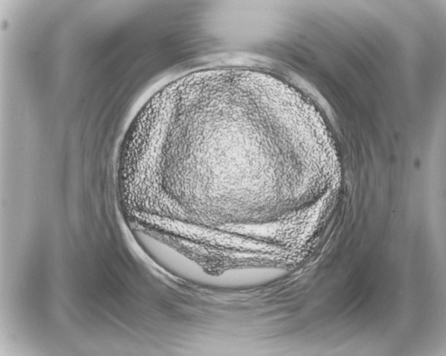 X0000085841483200704091711