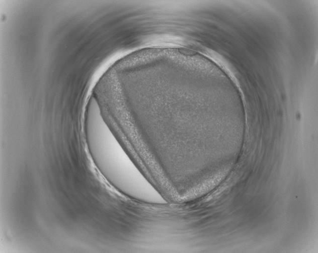 X0000085841488200704091710
