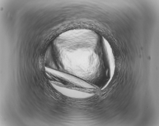 X0000085841490200704091710