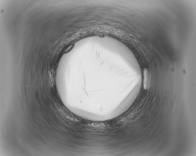 X0000085841491200704091710
