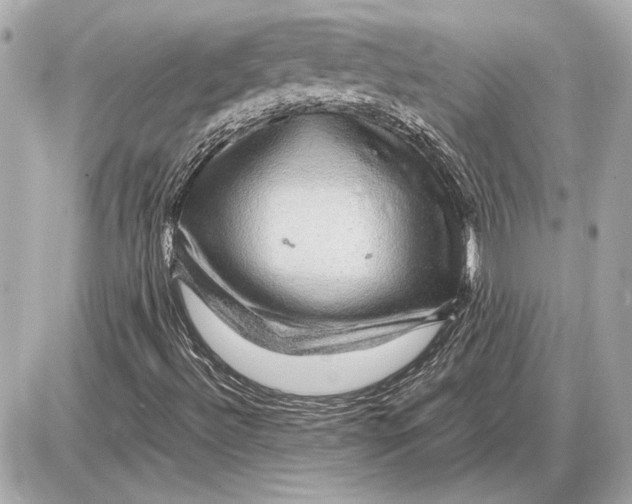 X0000085841492200704091710