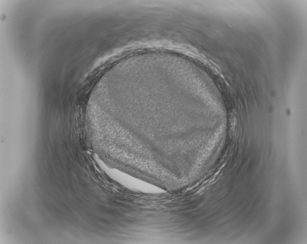 X0000085841494200704091710