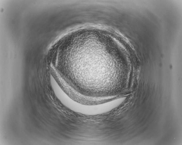 X0000085841496200704091710