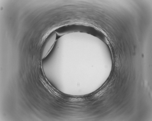 X0000085841499200704091710
