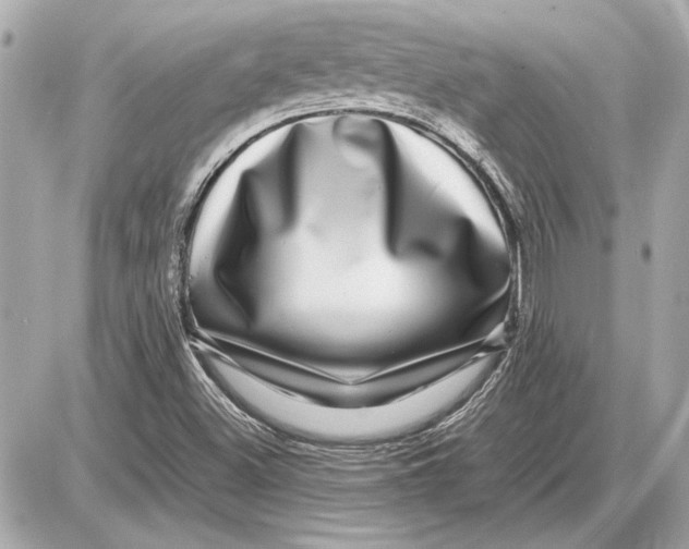 X0000085841500200704091710