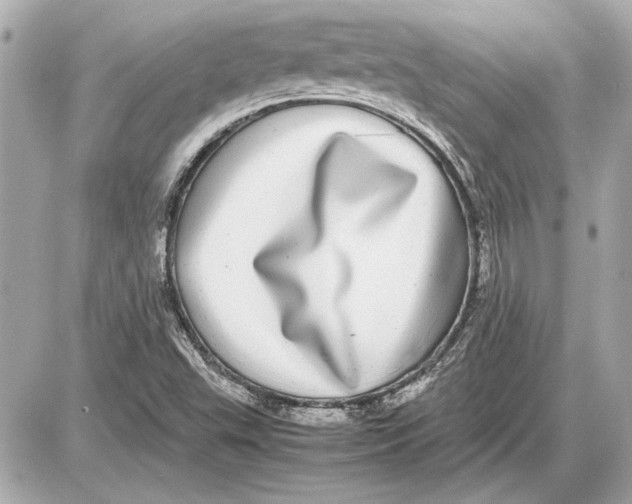 X0000085841503200704091710