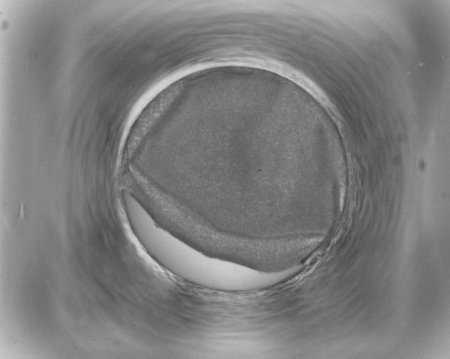 X0000085841536200704091710