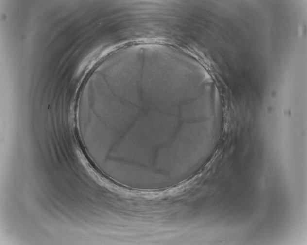 X0000085840002200704132115