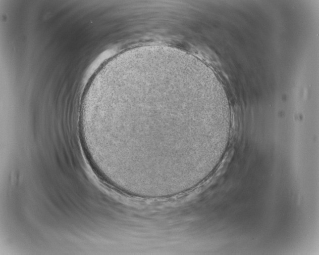 X0000085840003200704132115