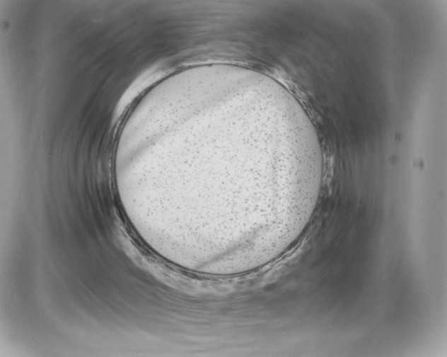 X0000085840004200704132115